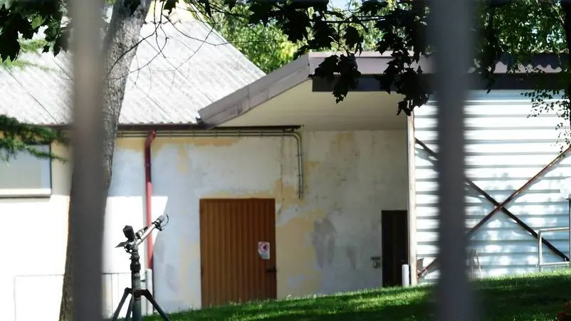Bumbaca Gorizia 10.08.2015 Savogna allevamento galline Fotografia di Pierluigi Bumbaca