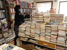 Una libreria goriziana (Foto Bumbaca)