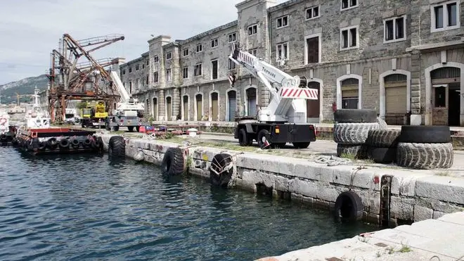 sterle trieste porto vecchio