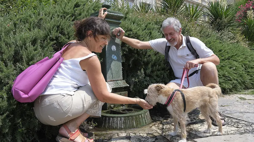 Alla fontanella per proteggersi dal caldo estivo. Foto di Massimo Silvano