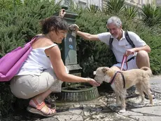 Alla fontanella per proteggersi dal caldo estivo. Foto di Massimo Silvano
