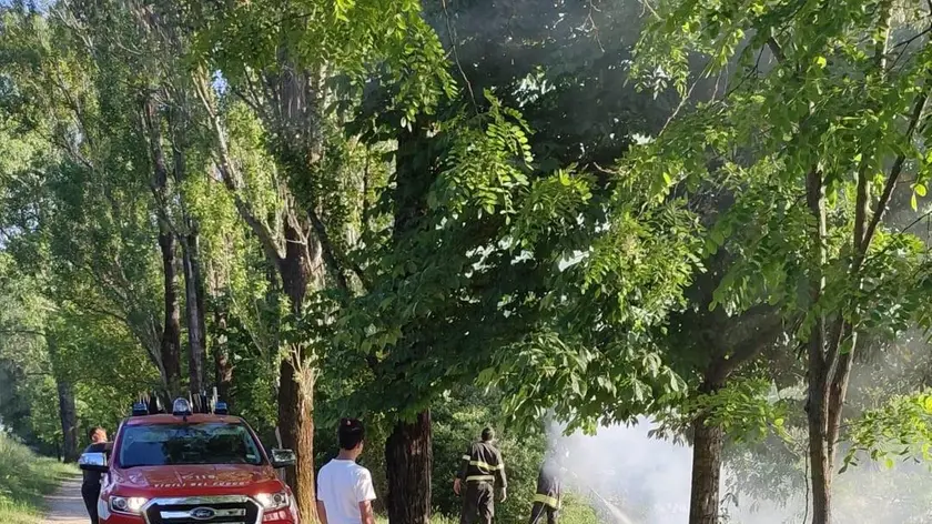 Incendio al parco dell’Isonzo di Turriaco
