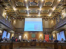 La seduta del consiglio comunale di Trieste (Silvano)