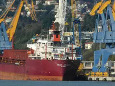 Una nave cargo all'Adriaterminal