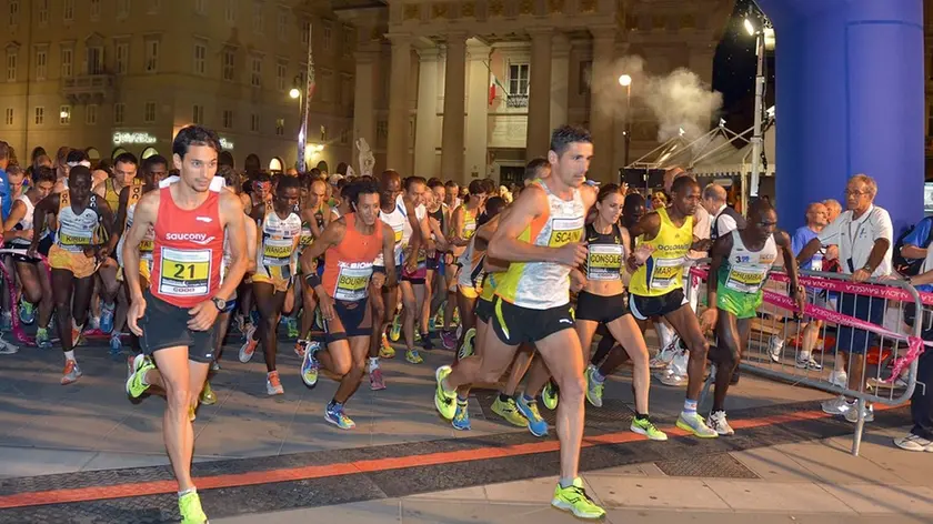 Foto Bruni 13.07.13 StraTrieste,maratona estiva sia con animali che competitiva-la partenza