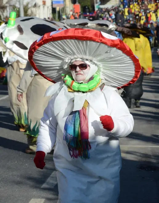 Foto BRUNI 10.02.2018 Carnevale di Opicina