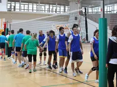 Lasorte Trieste 06/12/14 - PalaChiarbola, Pallavolo, Memorial Pinna