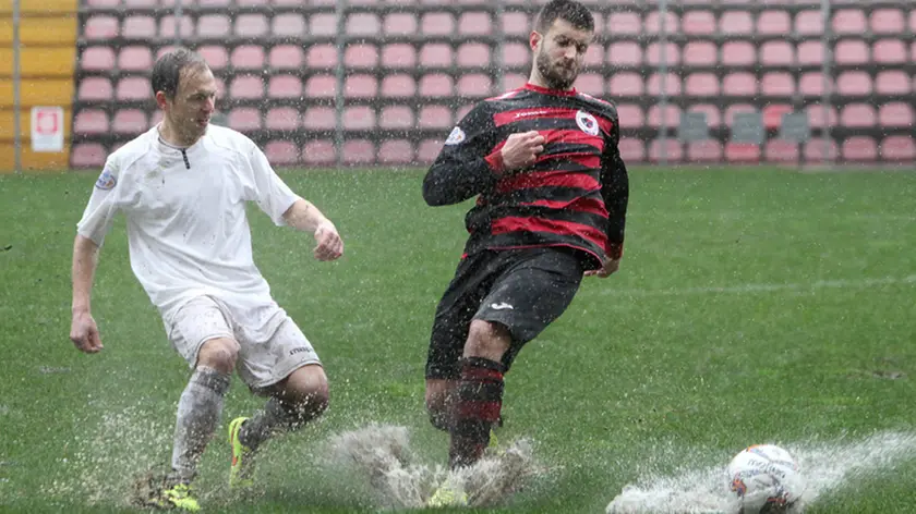Lasorte Trieste 14/02/16 - Serie D, Triestina- Fontanafredda