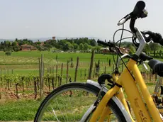 Anche il Collio ha consentito al Friuli Venezia Giulia di entrare nella top ten di Lonely Planet