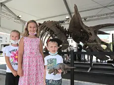 Lasorte Trieste 30/07/21 - Piazza Unita', Esposizione Big John, Triceratopo, Dinosauro, foto autorizzzata dalle mamme dei bambini