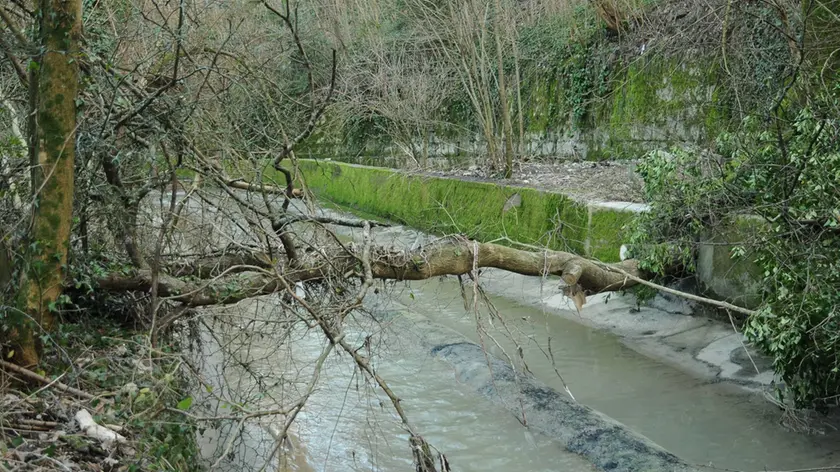 Il torrente Corno