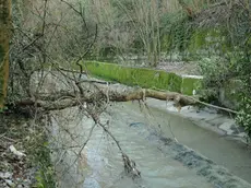 Il torrente Corno