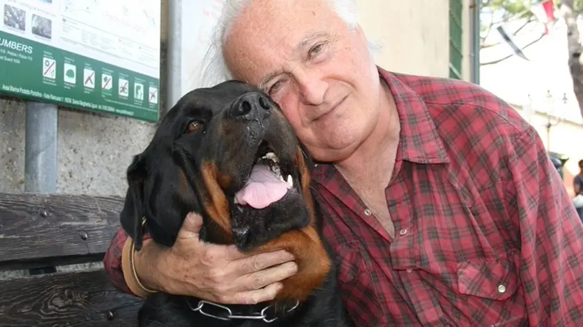 20080816 - SAN ROCCO DI CAMOGLI - GENOVA - LIF - ANIMALI: BELLA E ROCKY VINCONO PREMIO FEDELTA' DEL CANE. Il cane Rocky vince con un ex aequo il premio internazionale Fedelta' del cane a Camogli (Genova), il concorso dedicato gli amici a quattro zampe che si sono distinti per azioni particolari. I vincitori sono Bella, un meticcio di cinque anni che ha salvato il padrone caduto in dirupo scaldandolo per tutta la notte, e Rocky, un rottweiller di sette anni che ha aiutato il proprietario a raggiungere il telefono dopo una caduta dalla scala. Il premio, giunto alla sua 47/ma edizione, e' stato ideato da don Giacobbe e Giacinto Crescini nel 1962. La cerimonia si svolge a San Rocco, dietro la chiesa dove si trova il monumento al cane, in ricordo della manifestazione. ANSA/LUCA ZENNARO/DRN