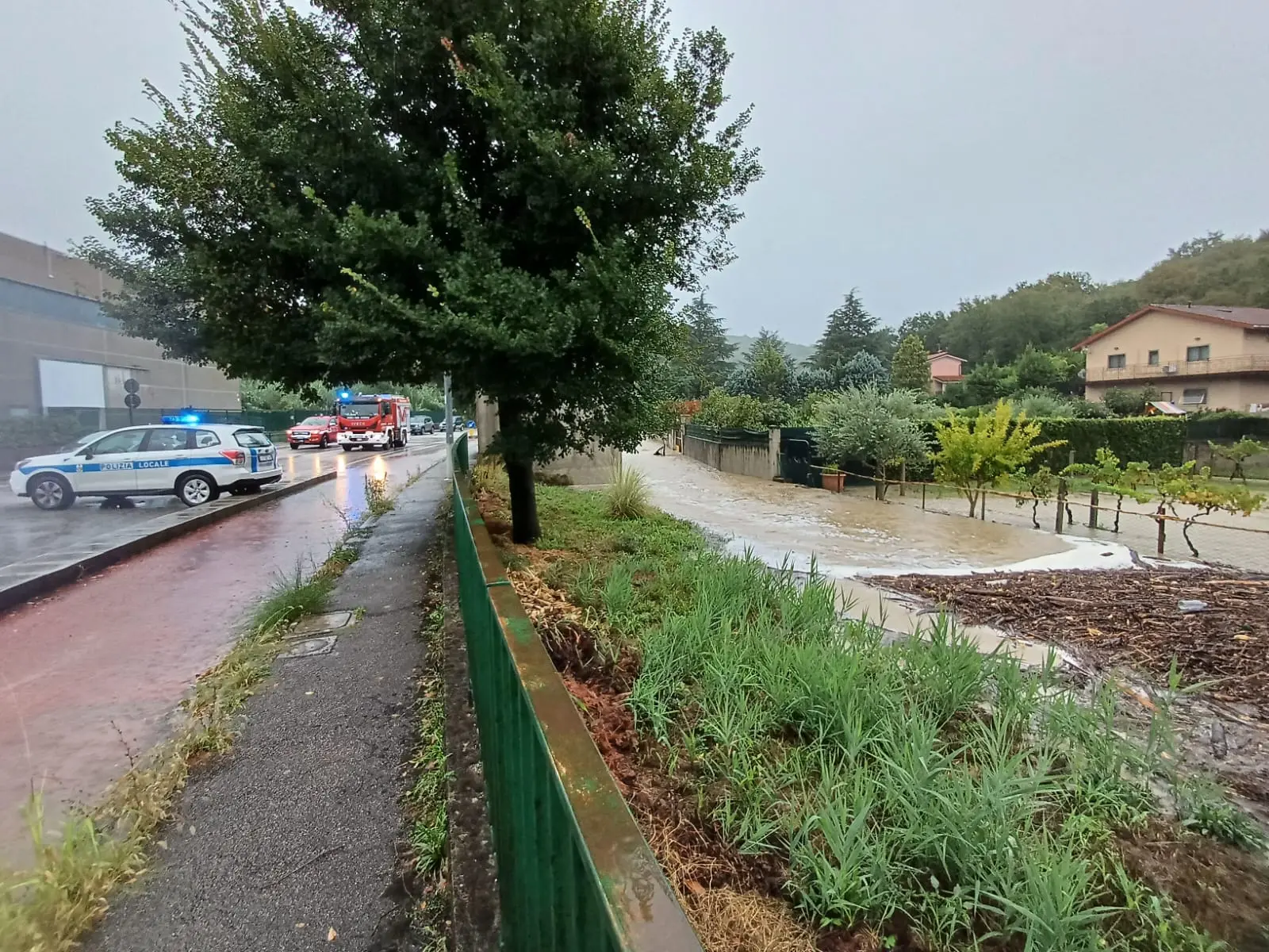 Il violento temporale che si è abbattuto giovedì mattina nel territorio di Muggia ha provocato l'esondazione di Rio Menariolo con gli allagamenti che vediamo fotografati qui da Francesco Bruni. Qui l'articolo con gli aggiornamenti: https://ilpiccolo.gelocal.it/trieste/cronaca/2024/09/12/news/esonda_rio_menariolo_muggia_case_allagate-14625963/