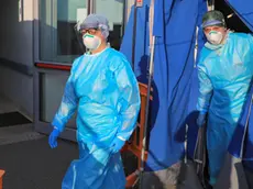Il pretriage di Gorizia