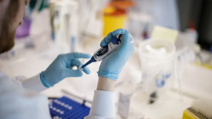 In Friuli Venezia Giulia AIRC garantisce continuità ai migliori progetti di ricerca sul cancro: solo quest’anno sono attivi in regione 26 progetti di ricerca (di cui 3 borse di studio) con un investimento di oltre 2 milioni e mezzo di euro