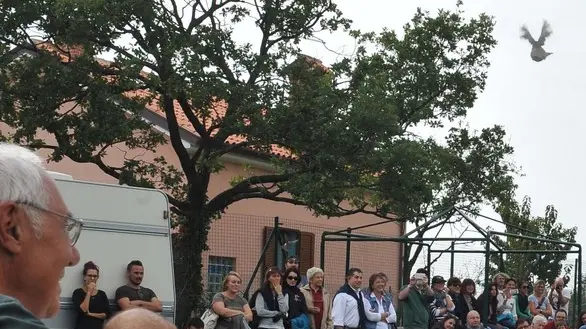 Foto BRUNI 23.09.2017 ENPA:liberati i volatili curati