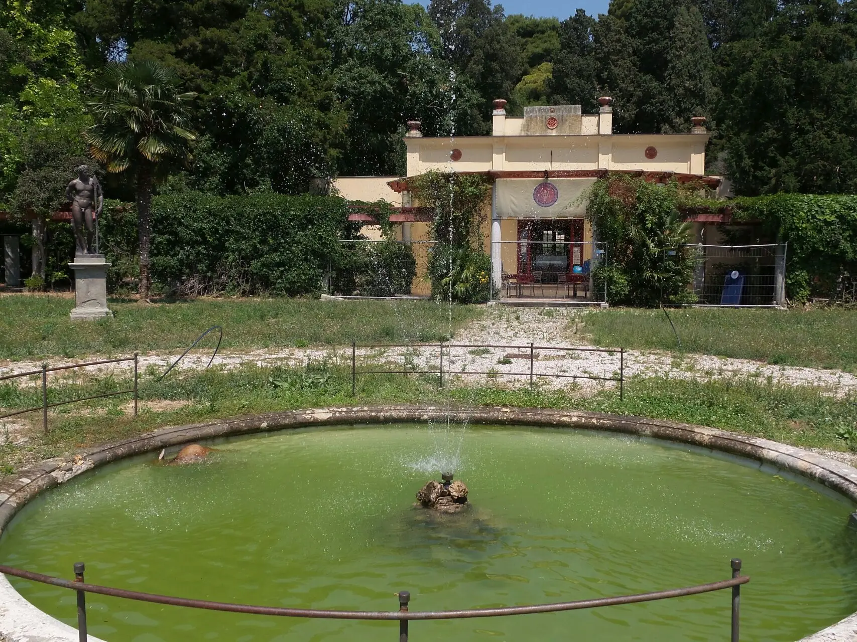 Il capriolo senza vita nella fontana di Miramare (Lasorte)