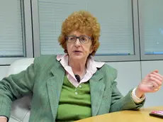 L'assessore Gibelli