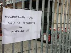 Il cartello apparso sul cancello del supermercato “Tutto Pepe”