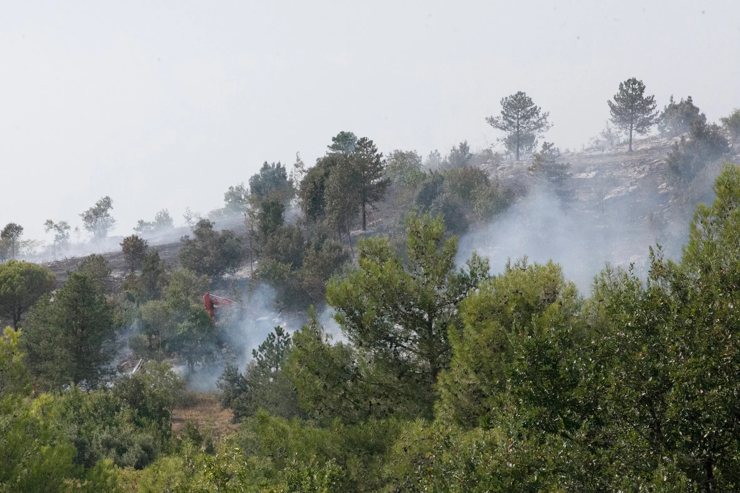 Ancora un'immagine dell'incendio Foto Katia Bonaventura