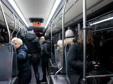 Un bus della Trieste Trasporti in orario notturno