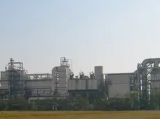 La centrale a biomassa che non ha mai funzionato