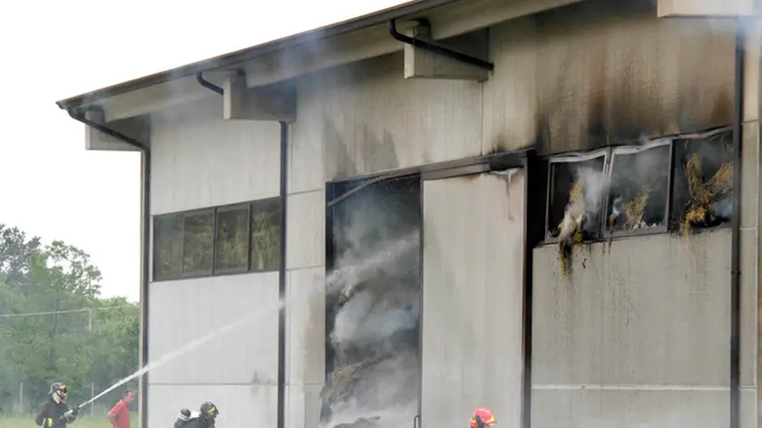 Bonaventura Monfalcone-18.06.2014 Incendio-Pieris-foto di Katia Bonaventura