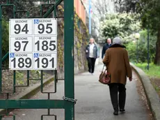 Seggi elettorali a Trieste (Bruni)