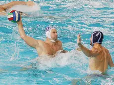 Lasorte Trieste 14/12/16 - Piscina Bianchi, Pallanuoto Trieste - Pro Recco