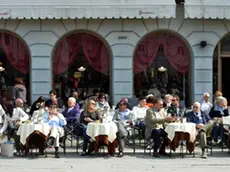 Foto Bruni 06.04.14 Piazza Unità:i triestini e non, alla scoperta della città,cani compresi