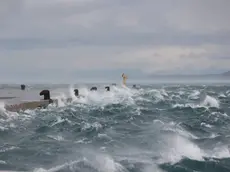 La bora sferza il golfo di Trieste (Lasorte)