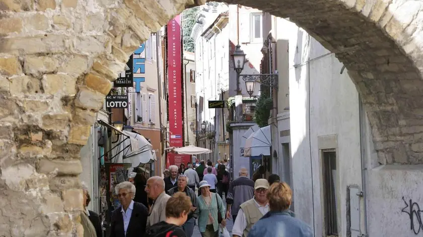 sterle trieste muggia centro storico