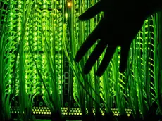 Un'immagine generica di furti informatici