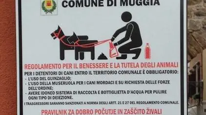 La nuova segnaletica contro le deiezioni canine