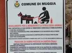 La nuova segnaletica contro le deiezioni canine