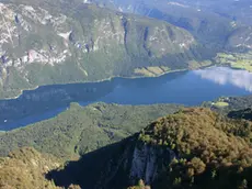 Una veduta dall'alto del lago di Bohinj in Slovenia