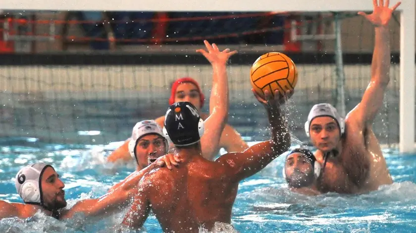 Foto Bruni 07.06.14 Pallanuoto play-off:Trieste --Roma