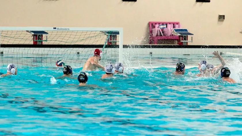 Silvano Trieste 11/02/2017 Pallanuoto Trieste - Verona