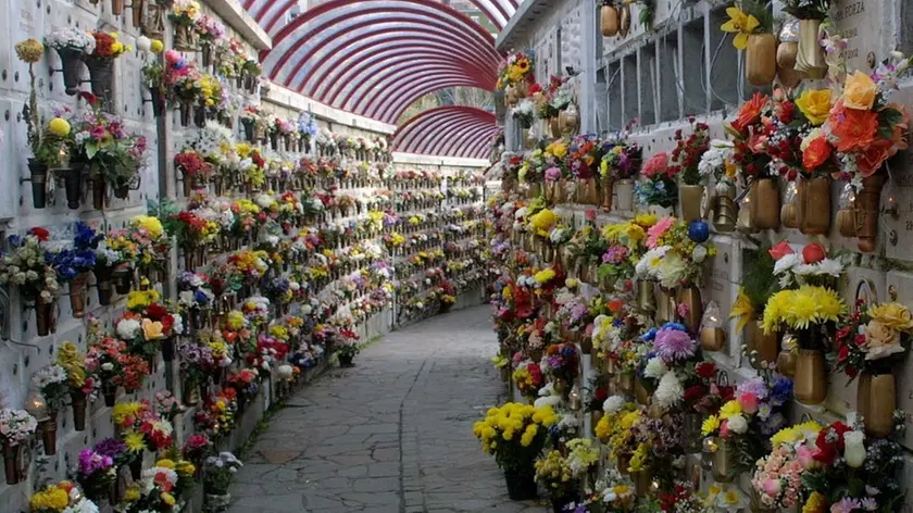 Lasorte Trieste - Cimitero - Loculi Cinerari