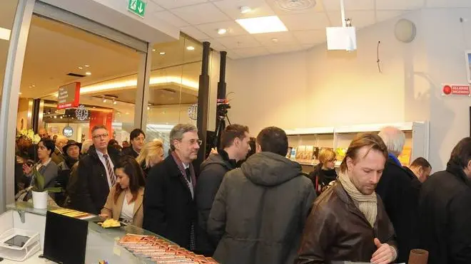 Bumbaca Gorizia 15.01.2014 Tiare Ufficio Provincia - Foto Pierluigi Bumbaca