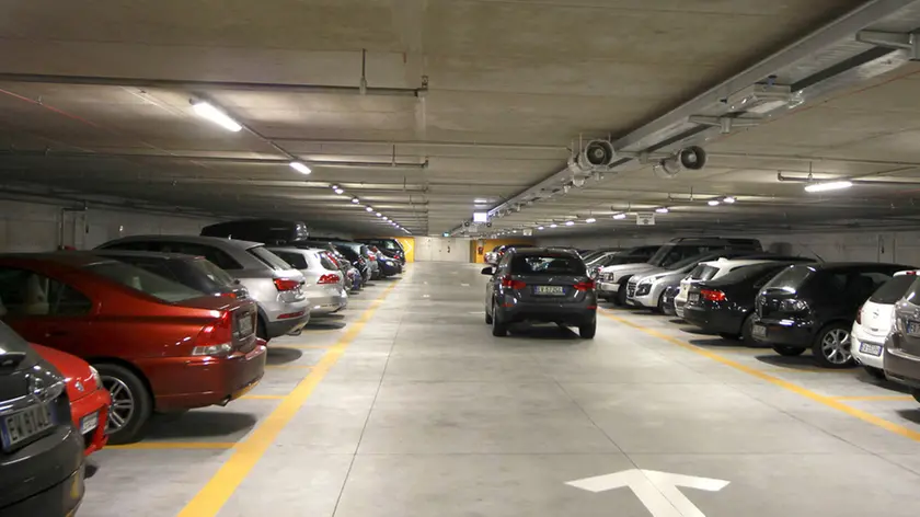 Lasorte Trieste 13/12/15 - Park S.Giusto, Sopralluogo Sindaco Cosolini