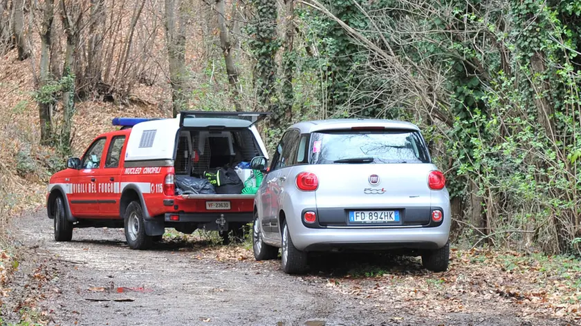 La Fiat 500L di Roberto Volo in mezzo al bosco Foto Petrussi