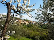 Una veduta di Caresana