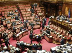 L'aula del Senato