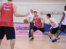 Stefano Tonut contro Michi Ruzzier in allenamento