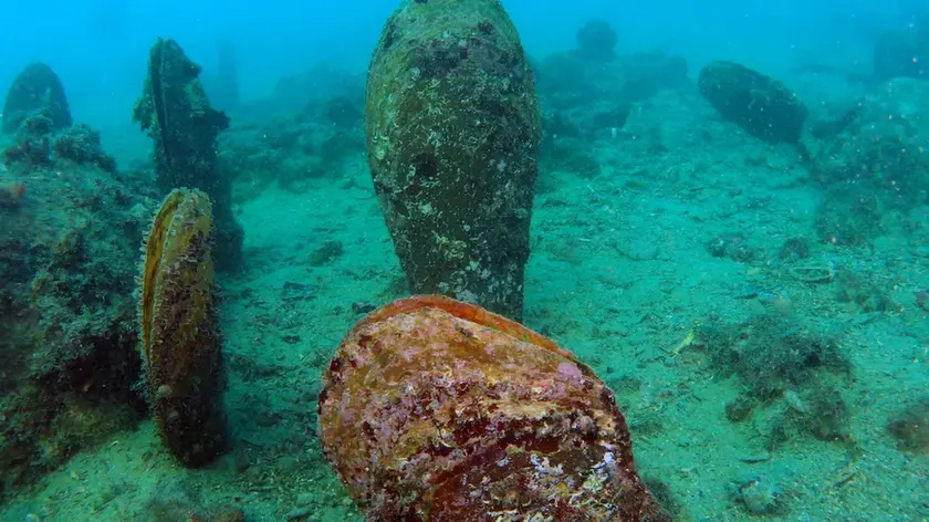 Alcuni esemplari di Pinna Nobilis fotografati da Saul Ciriaco