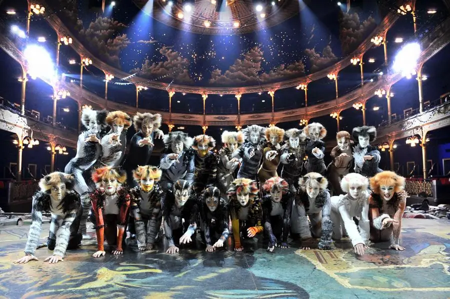 Il musical “Cats”, arrivato al Rossetti in edizione inglese