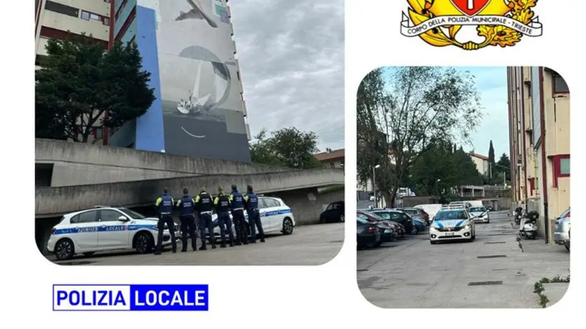 L'immagine tratta dal profilo Fb dell'Agente Gianna