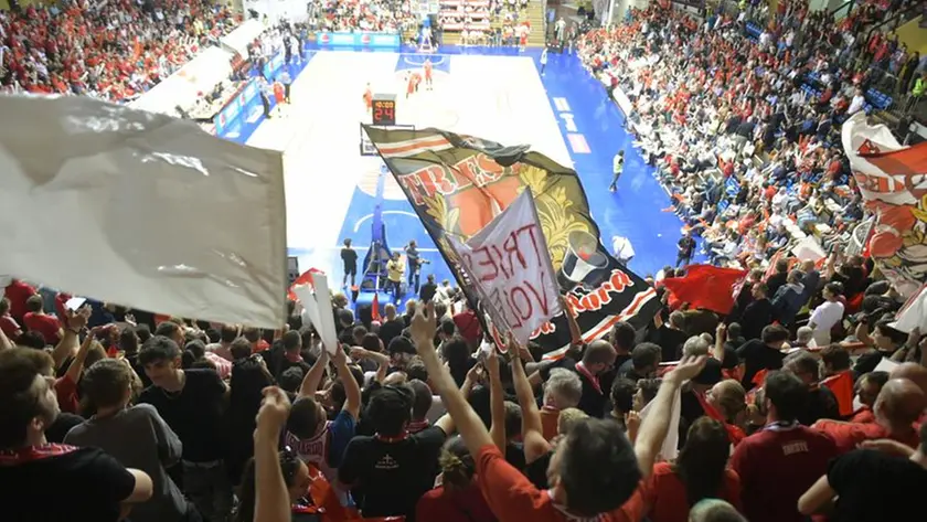 La tifoseria biancorossa vista dalla Curva Nord del PalaTrieste foto Bruni